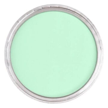 Pan Pastel 640.8 Permanent Green Tint