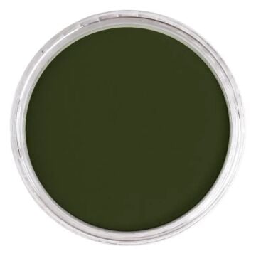 Pan Pastel 660.3 Chromium Oxide Green Shade
