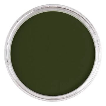 Pan Pastel 660.3 Chromium Oxide Green Shade