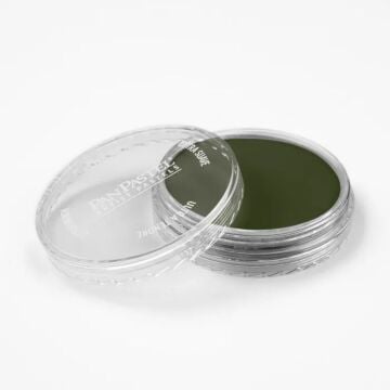 Pan Pastel 660.3 Chromium Oxide Green Shade