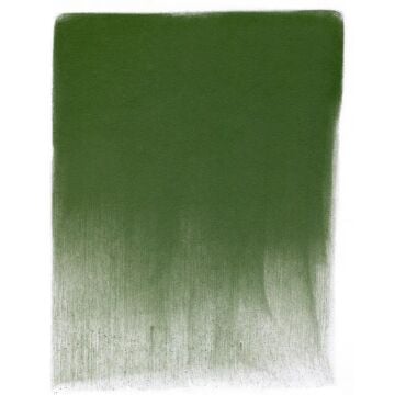 Pan Pastel 660.3 Chromium Oxide Green Shade