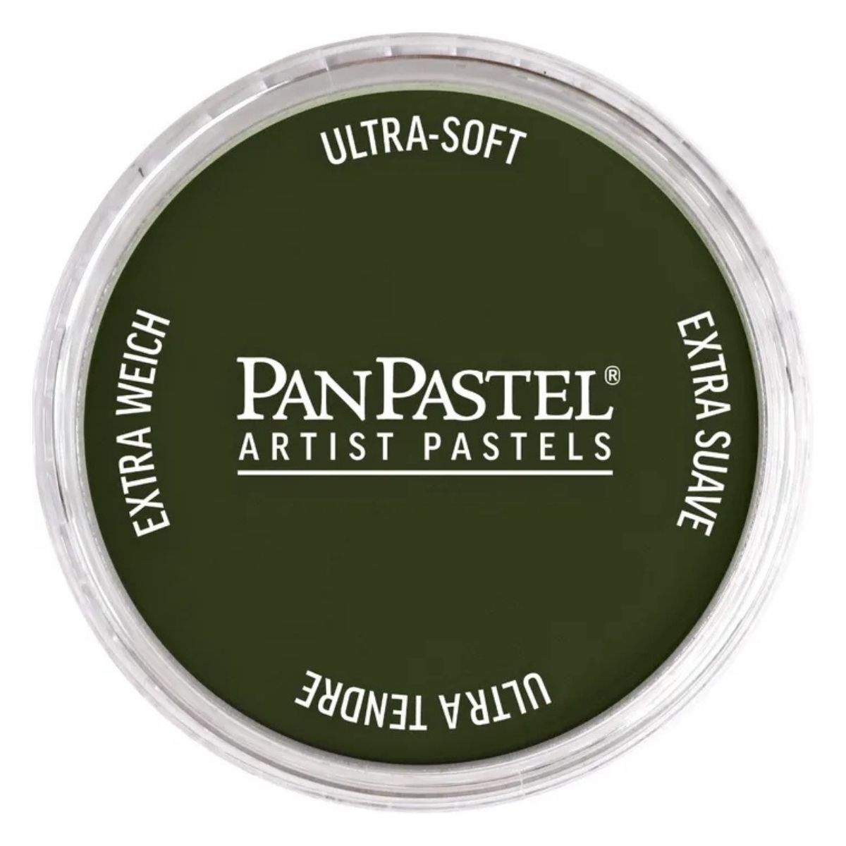 Pan Pastel 660.3 Chromium Oxide Green Shade