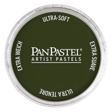 Pan Pastel 660.3 Chromium Oxide Green Shade