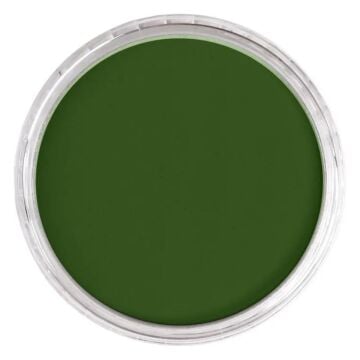 Pan Pastel 660.5 Chromium Oxide Green