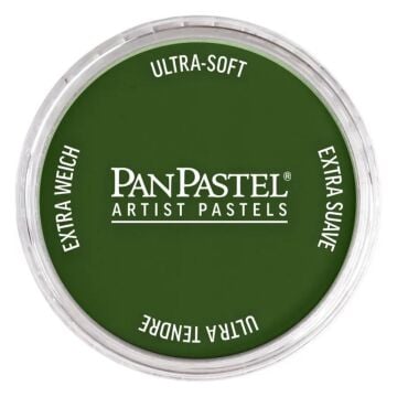 Pan Pastel 660.5 Chromium Oxide Green