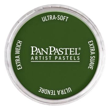 Pan Pastel 660.5 Chromium Oxide Green