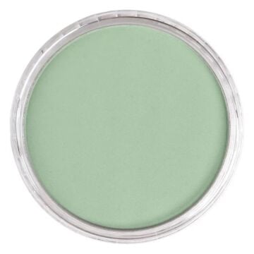 Pan Pastel 660.8 Chromium Oxide Green Tint
