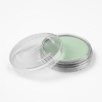 Pan Pastel 660.8 Chromium Oxide Green Tint