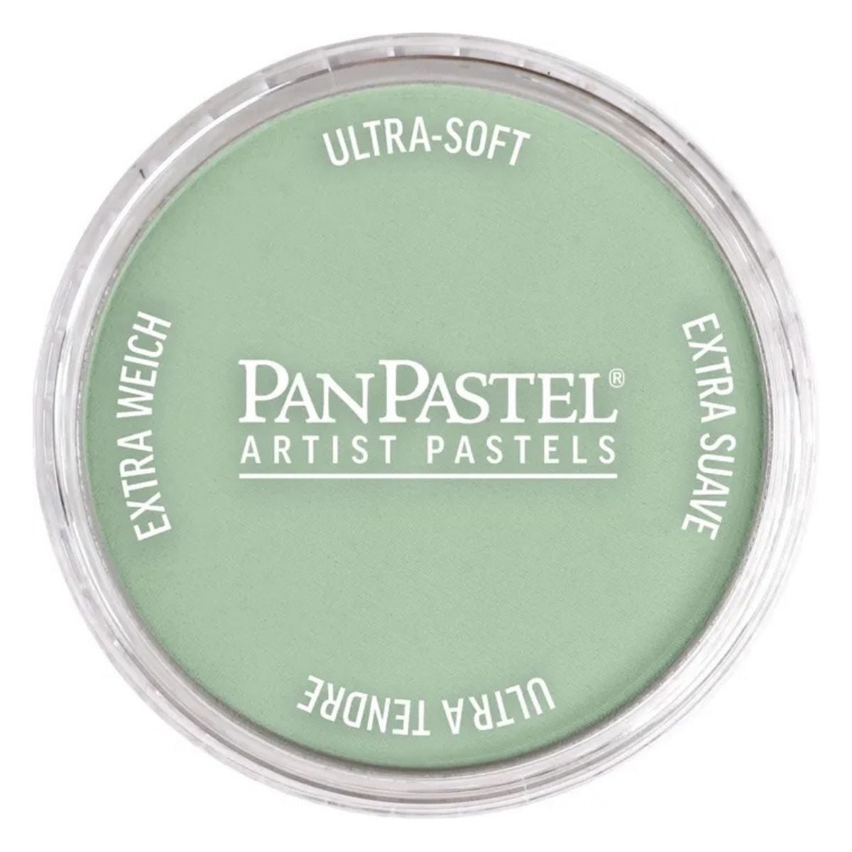 Pan Pastel 660.8 Chromium Oxide Green Tint