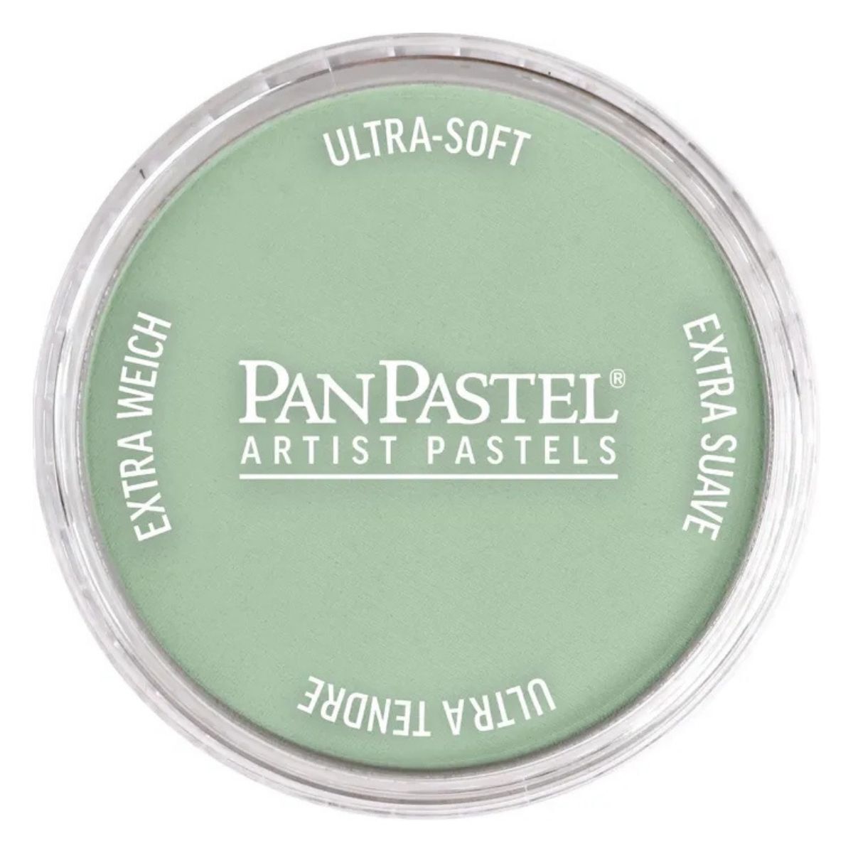 Pan Pastel 660.8 Chromium Oxide Green Tint