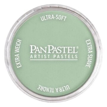 Pan Pastel 660.8 Chromium Oxide Green Tint