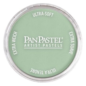Pan Pastel 660.8 Chromium Oxide Green Tint