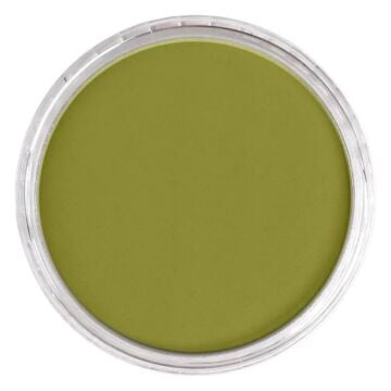 Pan Pastel 680.3 Bright Yellow Green Shade