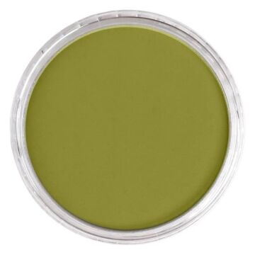 Pan Pastel 680.3 Bright Yellow Green Shade