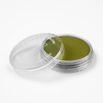Pan Pastel 680.3 Bright Yellow Green Shade