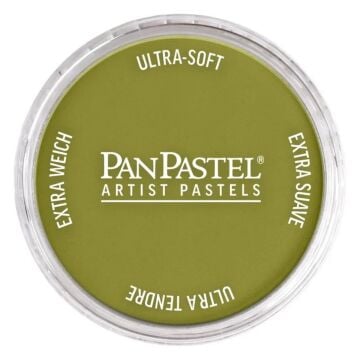 Pan Pastel 680.3 Bright Yellow Green Shade