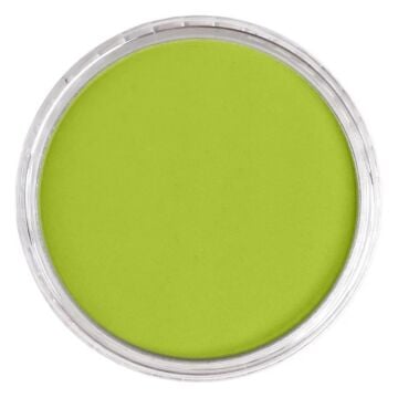 Pan Pastel 680.5 Bright Yellow Green