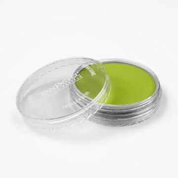 Pan Pastel 680.5 Bright Yellow Green