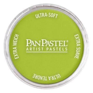 Pan Pastel 680.5 Bright Yellow Green
