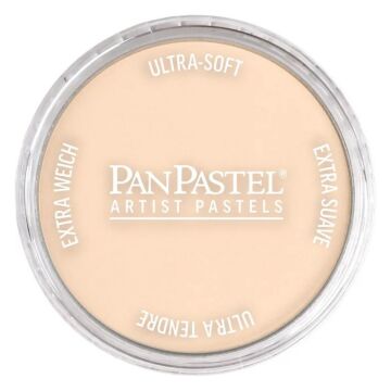 Pan Pastel 740.8 Burnt Sienna Tint
