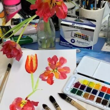 Daler Rowney Aquafine Travel Set Fırça Hediyeli Plastik Kutu 24lü