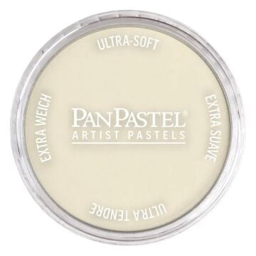 Pan Pastel 780.8 Raw Umber Tint