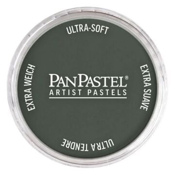 Pan Pastel 820.2 Neutral Gray Extra Dark