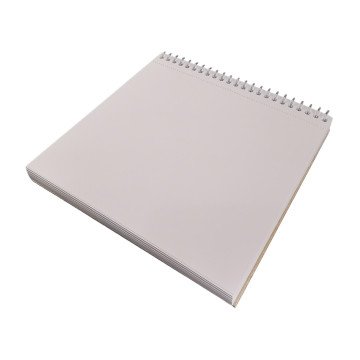 Alex Schoeller Sketch Marker Pad Eskiz Defteri 200gr A5 40yp Spiralli