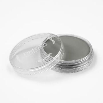 Pan Pastel 820.5 Neutral Gray