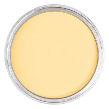 Pan Pastel 910.5 Light Gold