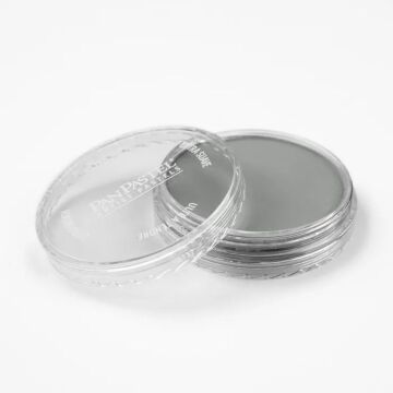 Pan Pastel 921.5 Pewter