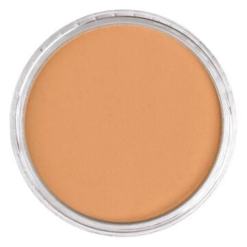 Pan Pastel 930.5 Bronze