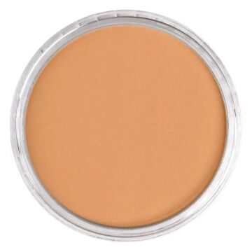 Pan Pastel 930.5 Bronze