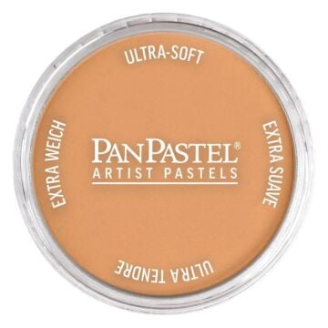Pan Pastel 930.5 Bronze