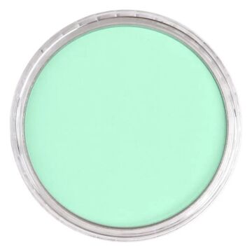 Pan Pastel 956.5 Pearlescent Green
