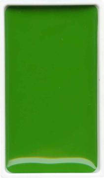 Zig Gansai Tambi Sulu Boya Tablet No 051 Sap Green Light