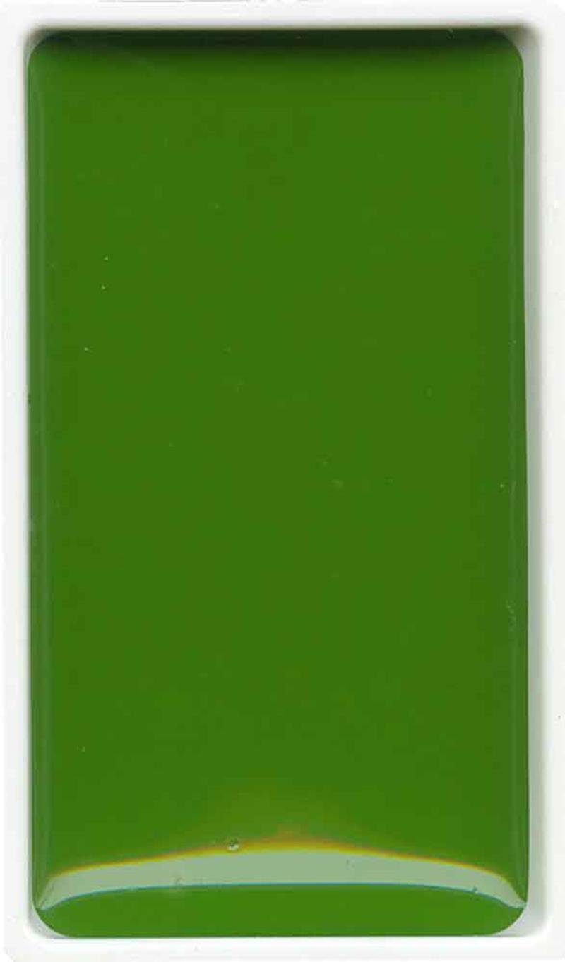 Zig Gansai Tambi Sulu Boya Tablet No 053 Sap Green