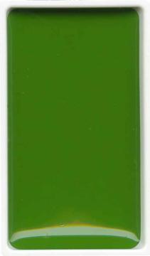 Zig Gansai Tambi Sulu Boya Tablet No 053 Sap Green
