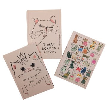 Deffter Sert Kapaklı 14x20cm 96 Sayfa Çizgili Uykusuz - Pazartesi Gelmeseymiş