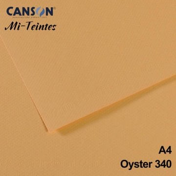 Mi-Teintes 160gr A4 340 Light Hemp 3lü