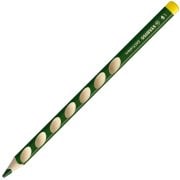 Stabilo Easycolors Ergonomik Kuru Boya Kalemi Sağ Renk Yaprak Yeşili