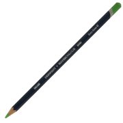 Derwent Watercolour Suluboya Kalemi 47 Grass Green
