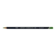 Derwent Watercolour Suluboya Kalemi 47 Grass Green