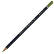 Derwent Watercolour Suluboya Kalemi 48 May Green