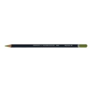 Derwent Watercolour Suluboya Kalemi 48 May Green