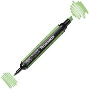 Winsor Newton Letraset Promarker Kalem G338 Apple