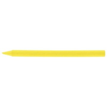 Bic Silinebilir Pastel 12'li Kutu 920299