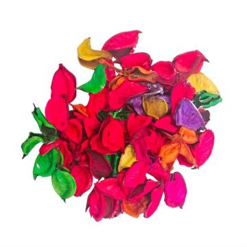 Südor Kabuk Renkli 25 gr