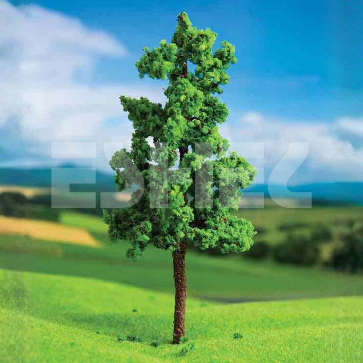 Eshel Maket Dişbudak Ağacı 5cm 2li