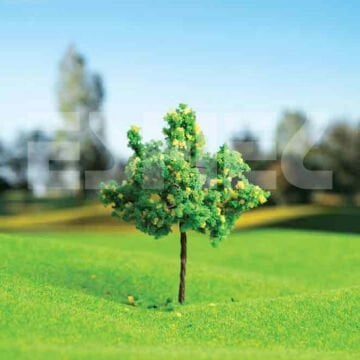 Eshel Maket Dişbudak Ağacı 6cm 2li